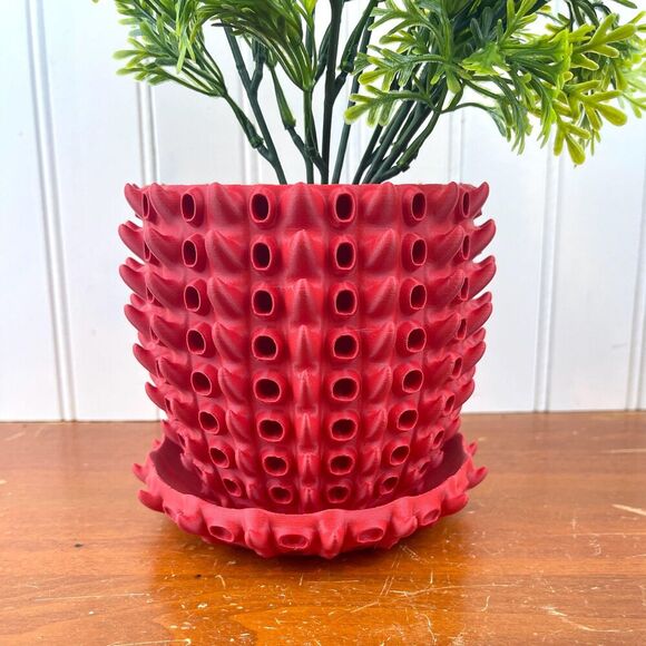 Barnacle Planter Pot, Indoor Flower Pot, Houseplants - Picture 1 of 9